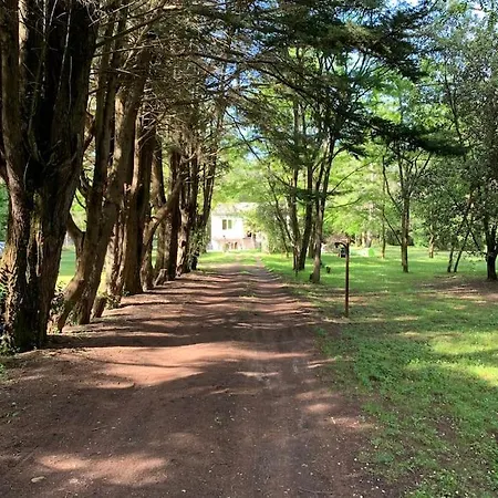 Maison Dans Un Cadre Exceptionnel Sur Ile De Re *