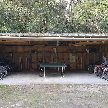 Maison Dans Un Cadre Exceptionnel Sur Ile De Re בית נופש Le Bois-Plage-en-Ré